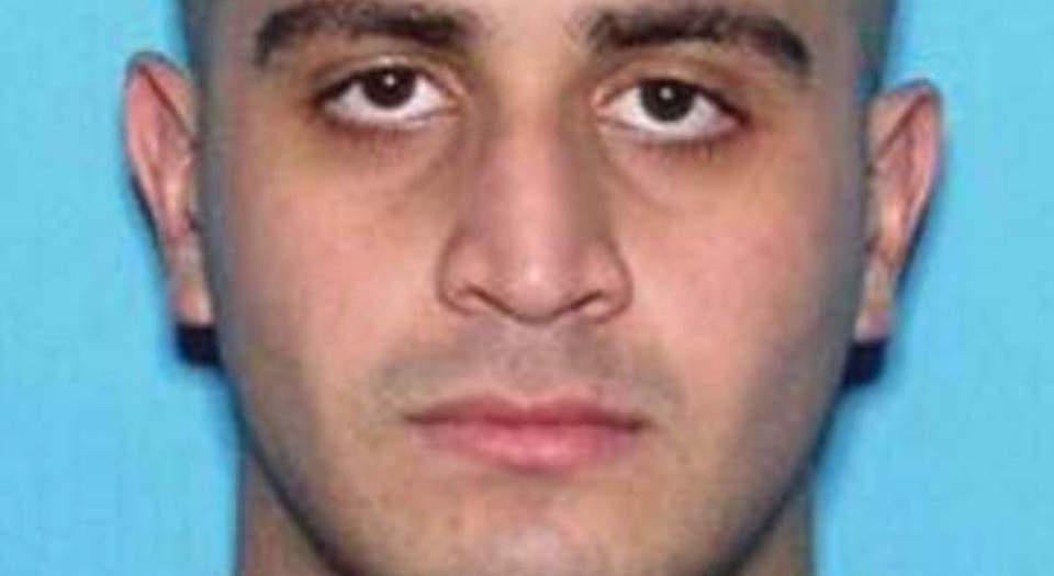 The lone wolf: a terrorist in search of a cause