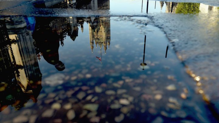 May’s defeat, Trump’s wall and woke capitalism