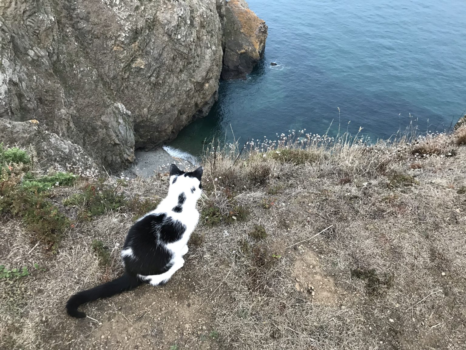 Sark really is a world apart