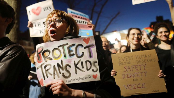 Mermaids: leading children up the trans path