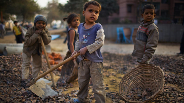 Climate alarmism is the real threat to public health