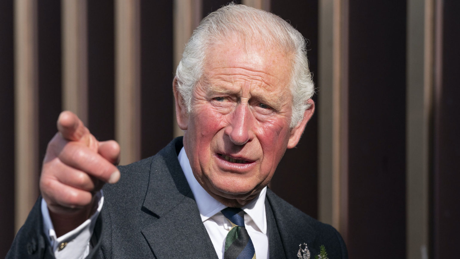 Prince Charles and the green counter-revolution