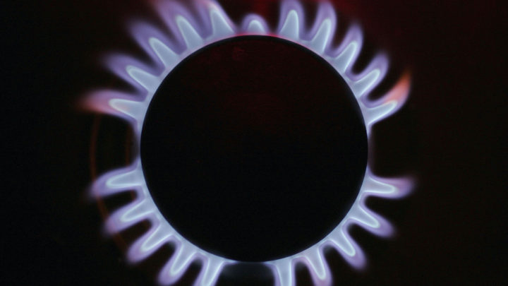 The madness of the green agenda