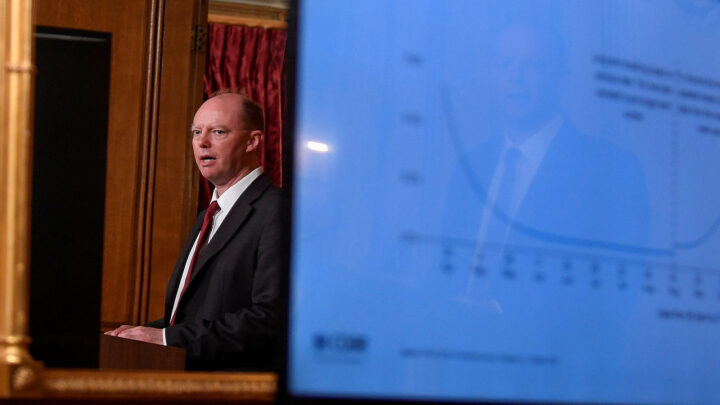 The catastrophe of the Covid models