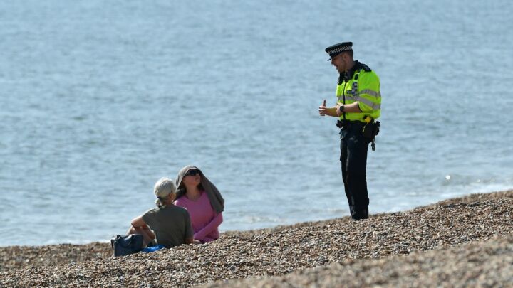 You got a licence for that?