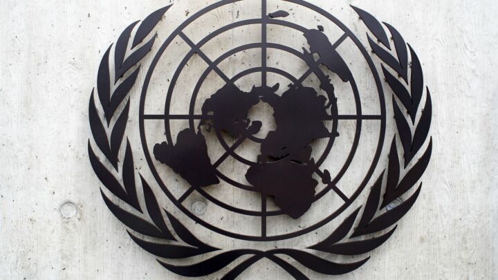 The UN’s racial hysteria