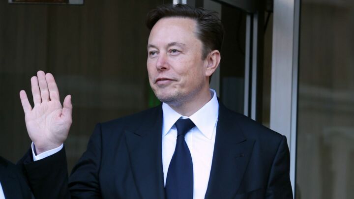 Elon Musk is right to take on the blue-tick elites