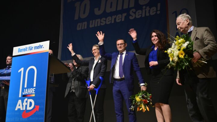 The return of the <em>AfD</em>
