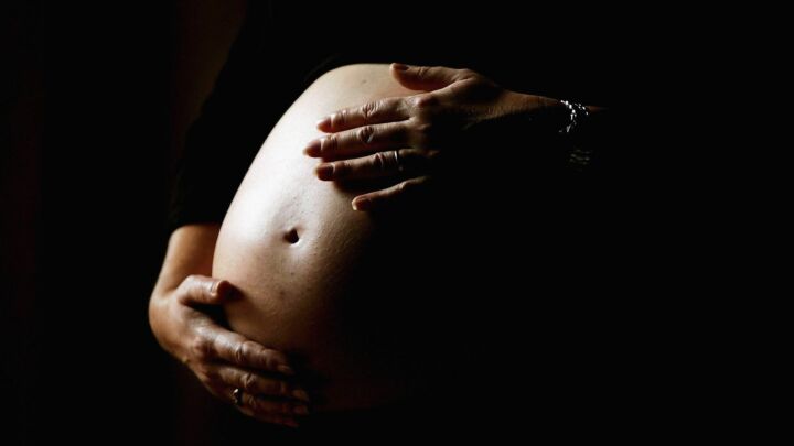 The miraculous world of transplant births