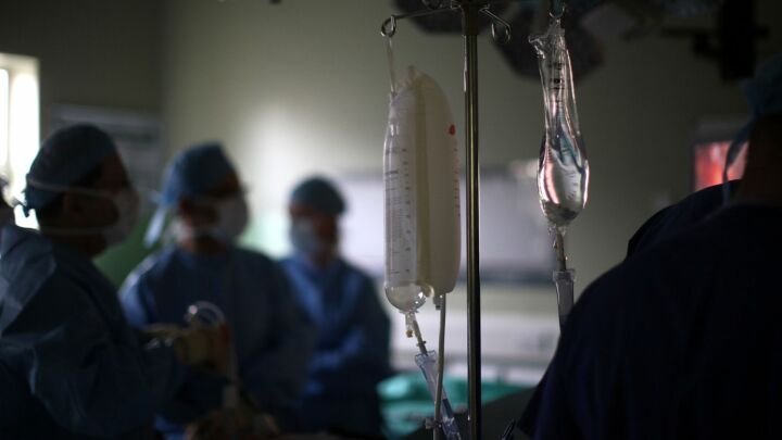 The callous authoritarianism of the trans ideology