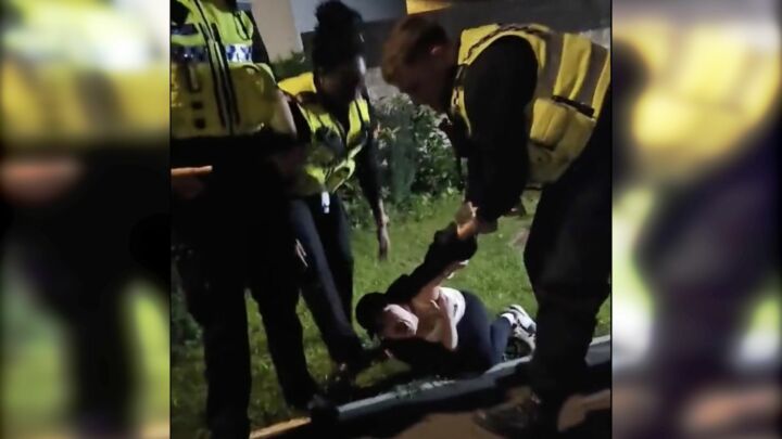 Is it a crime to call a police officer a lesbian?