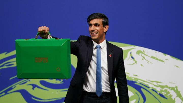 Environmentalism: where democracy goes to die