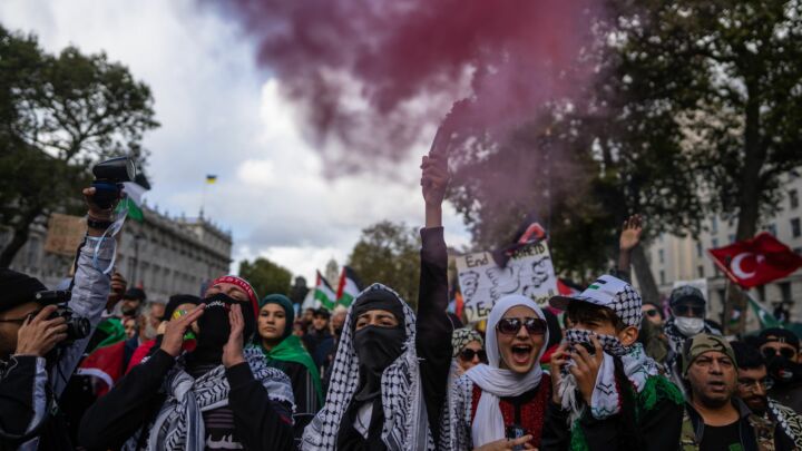 The staggering ignorance of the ‘pro-Palestine’ protesters