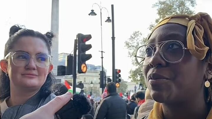 The passionate intensity of the know-nothing protester