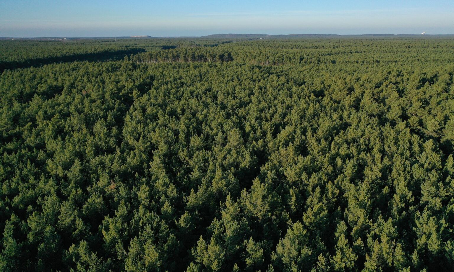 Why humanity is good for the natural world
