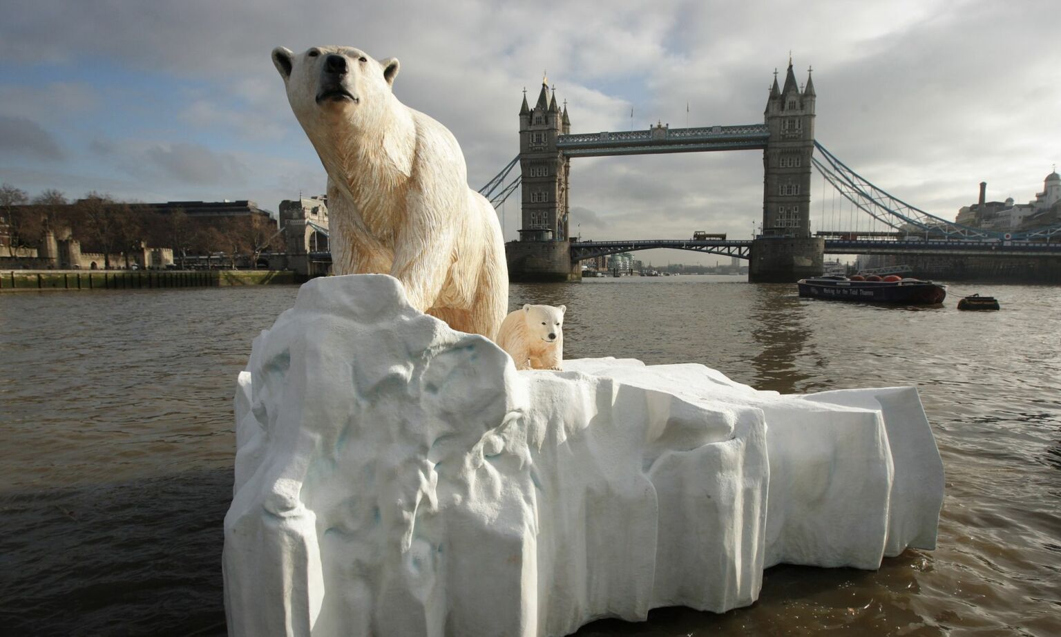 A 16 foot high sculpture of a polar bear and cub, afloat on a small iceberg on the River Thames, passes in front of Tower Bridge on 26 January 2009 in London, England.