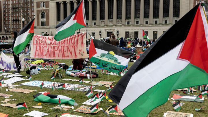 A howl of rage against civilisation