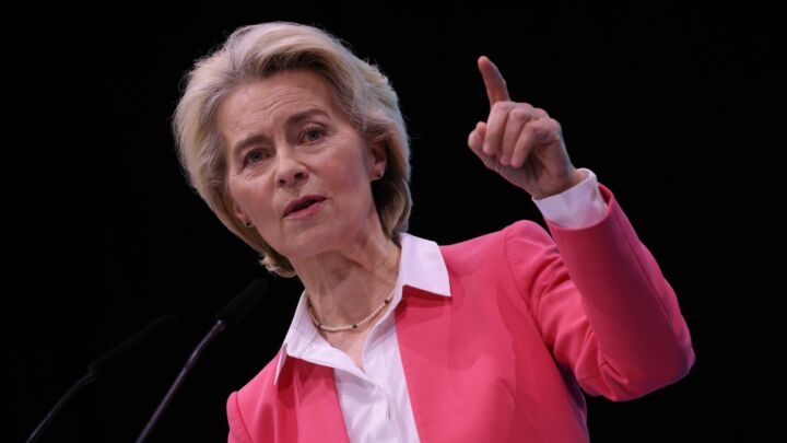 Is the EU going cool on Net Zero?