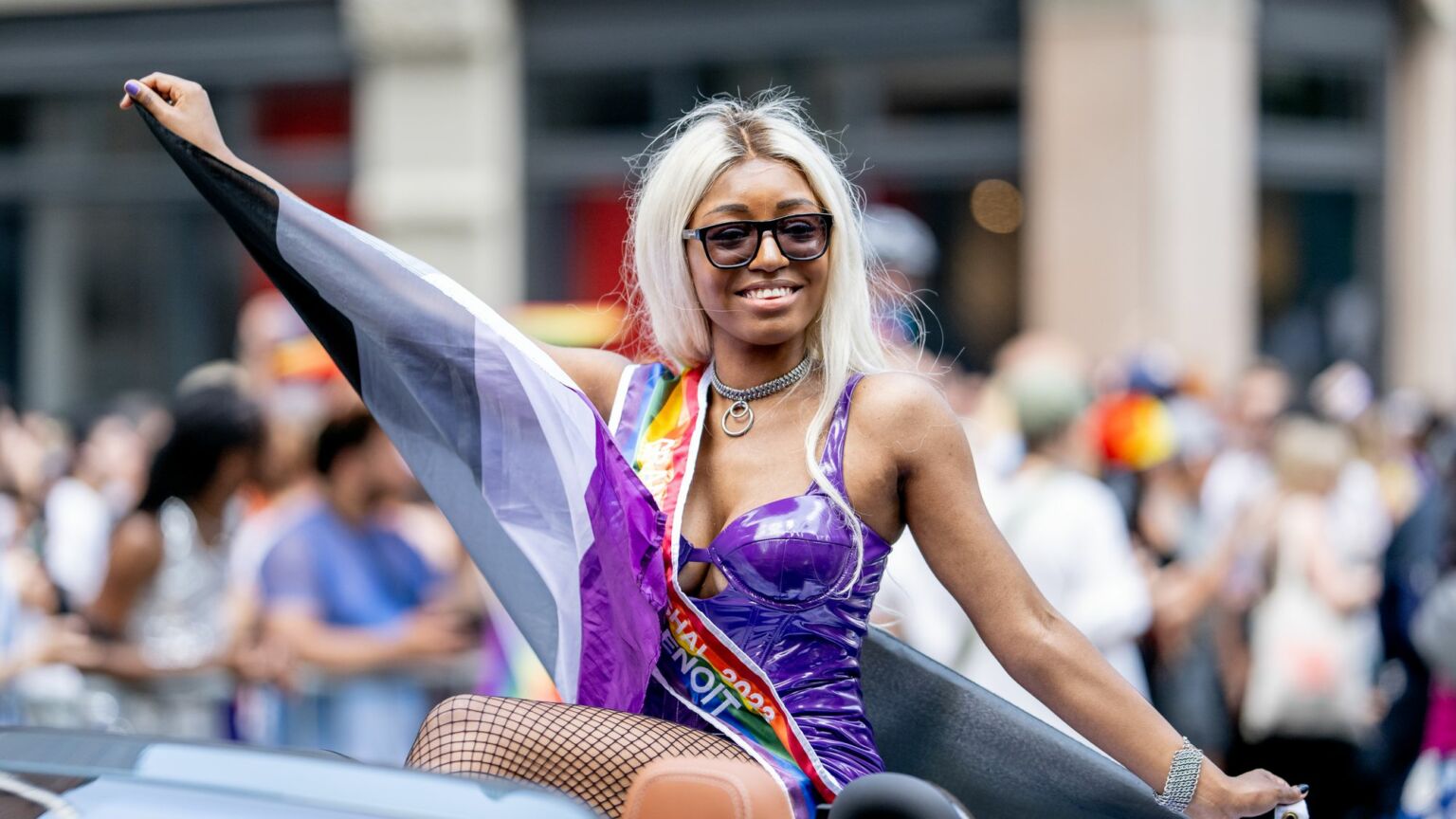 Asexual Pride? Wokesters have lost the plot