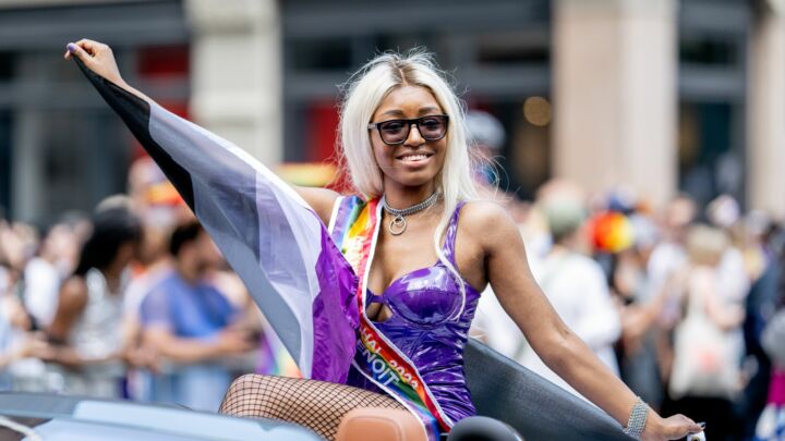 Asexual Pride? Wokesters have lost the plot