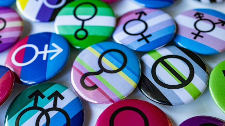 The SNP’s 24 genders