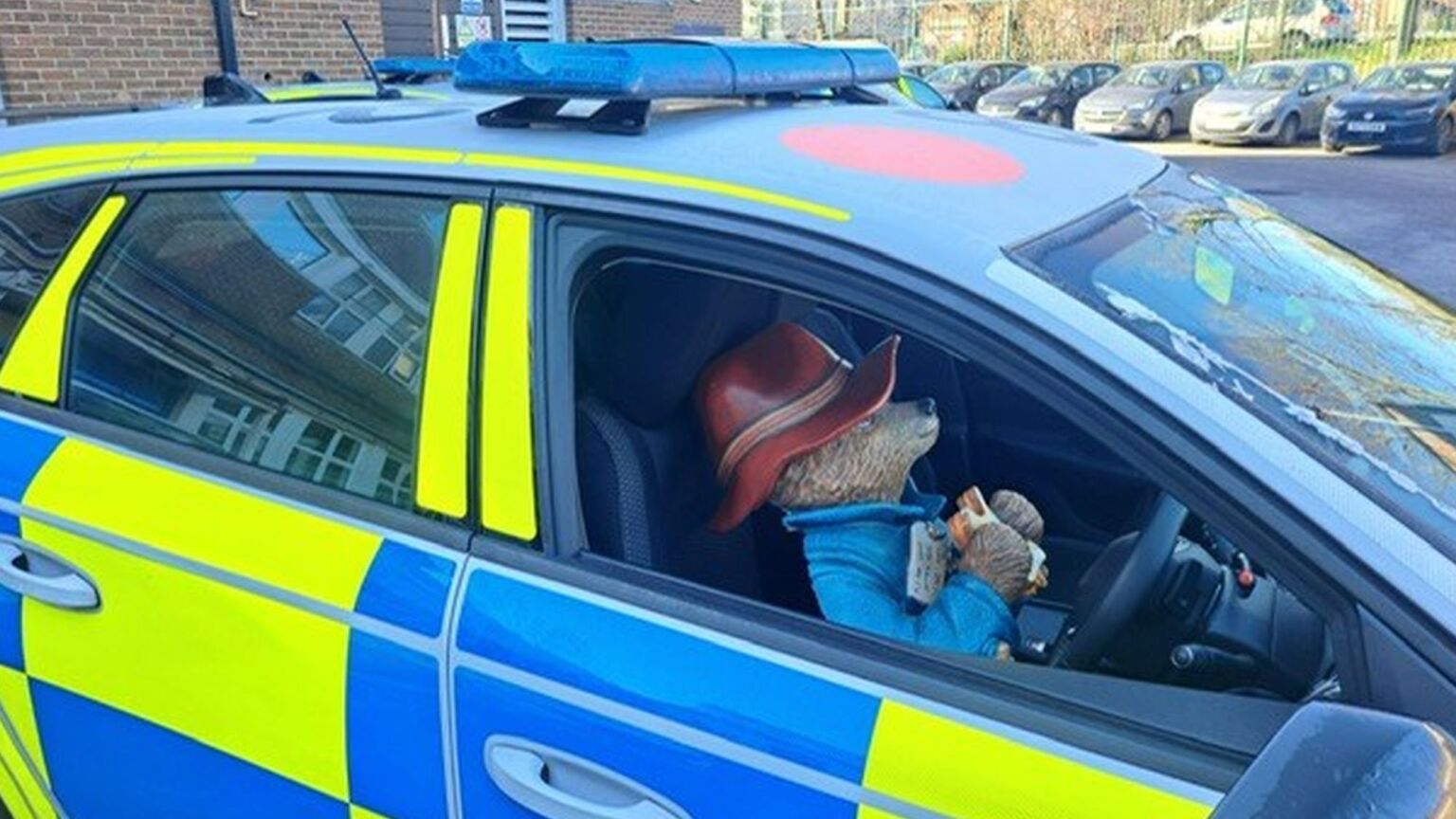 Paddington: patron saint of the liberal elites