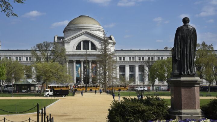 It was the woke elites who ‘purged’ America’s museums, not Donald Trump