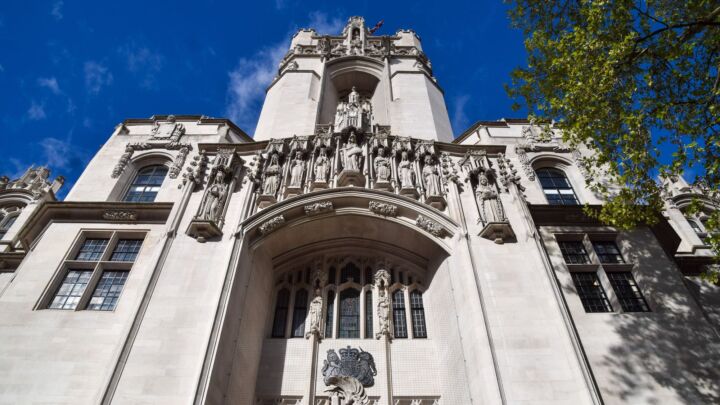 How trans exposed the stupidity of our elites