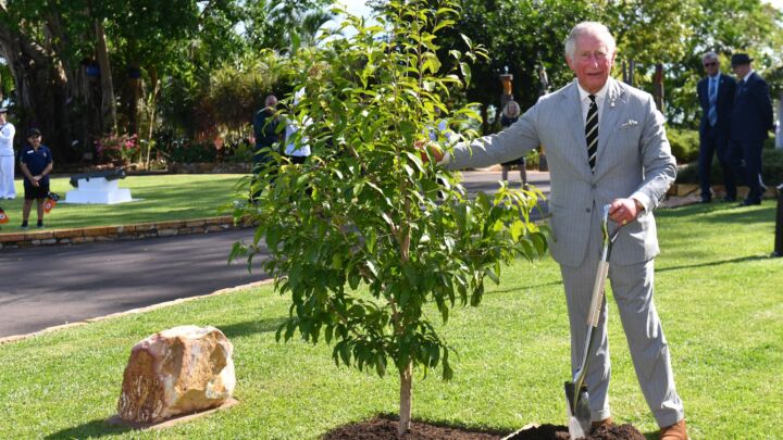 Why has an eco-extremist been given a royal seal of approval?