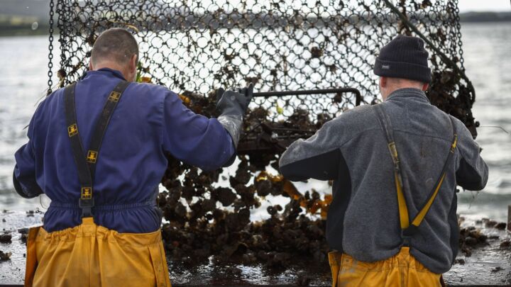 Starmer’s ‘Brexit reset’ has cast fishermen adrift