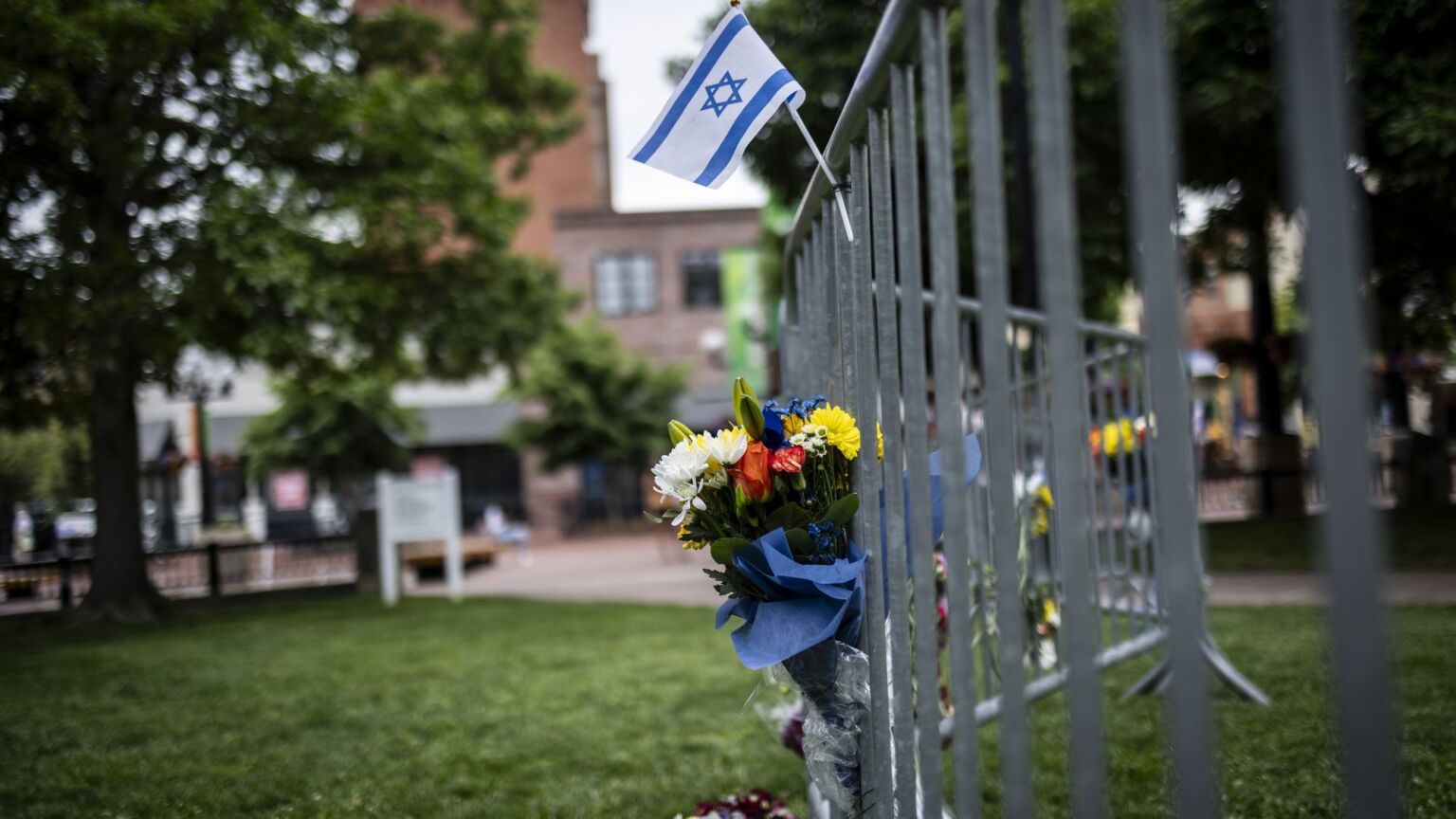 Karen Diamond: killed by ‘anti-Zionism’