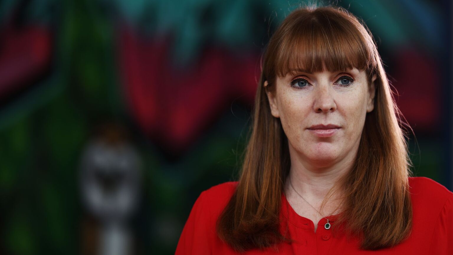 Angela Rayner’s allotment sell-off is an act of class treachery