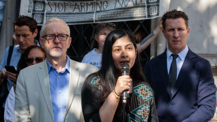 The collapse of Your Party is bloody hilarious