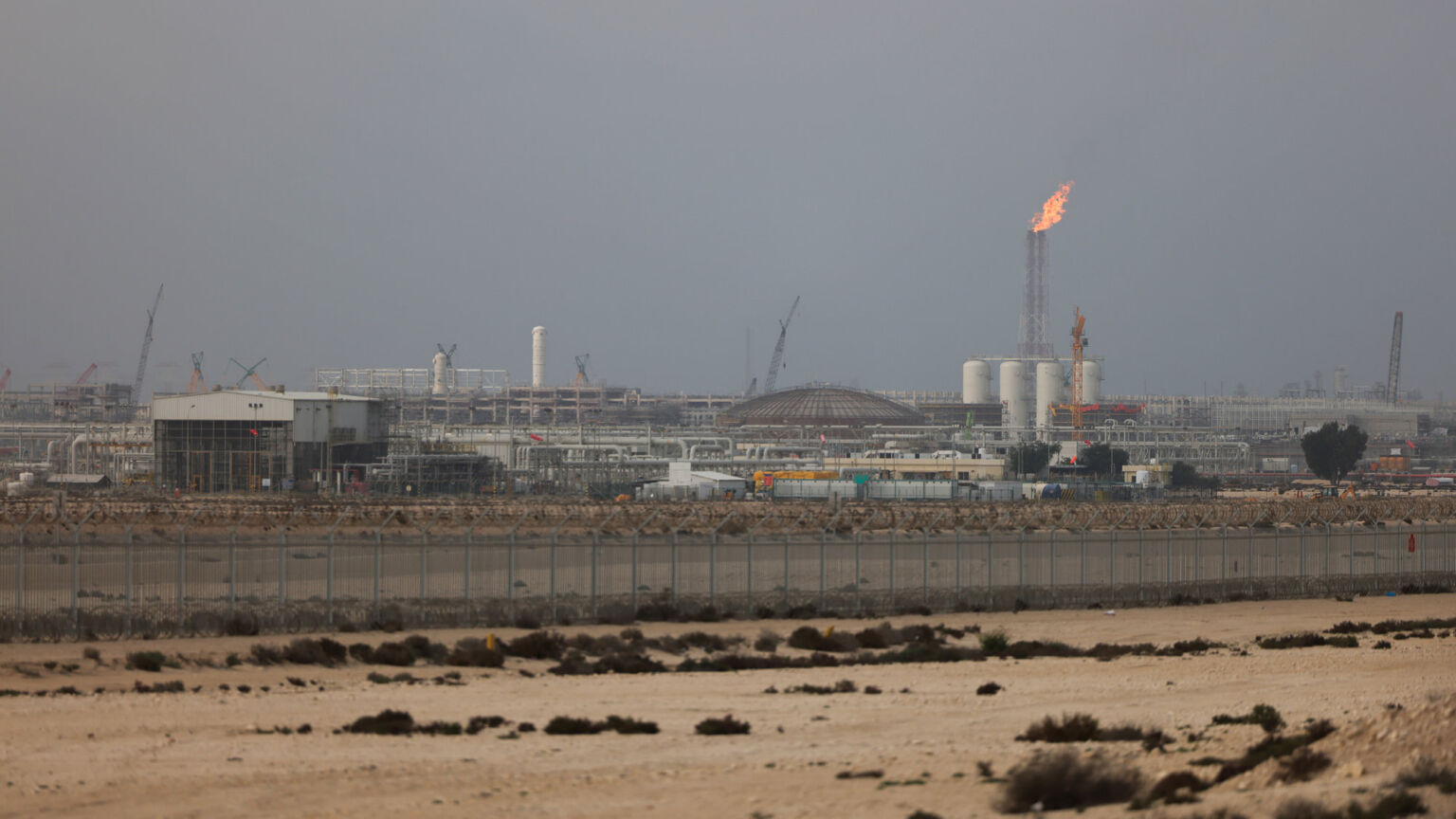 The Iran War has exposed the suicidal madness of Net Zero