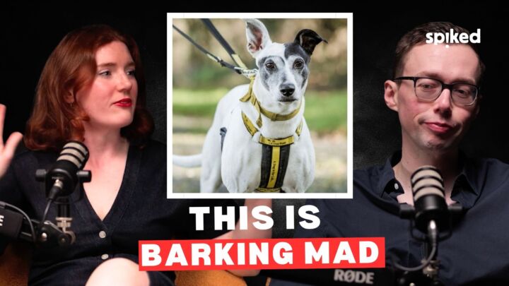The DEI war on dogs