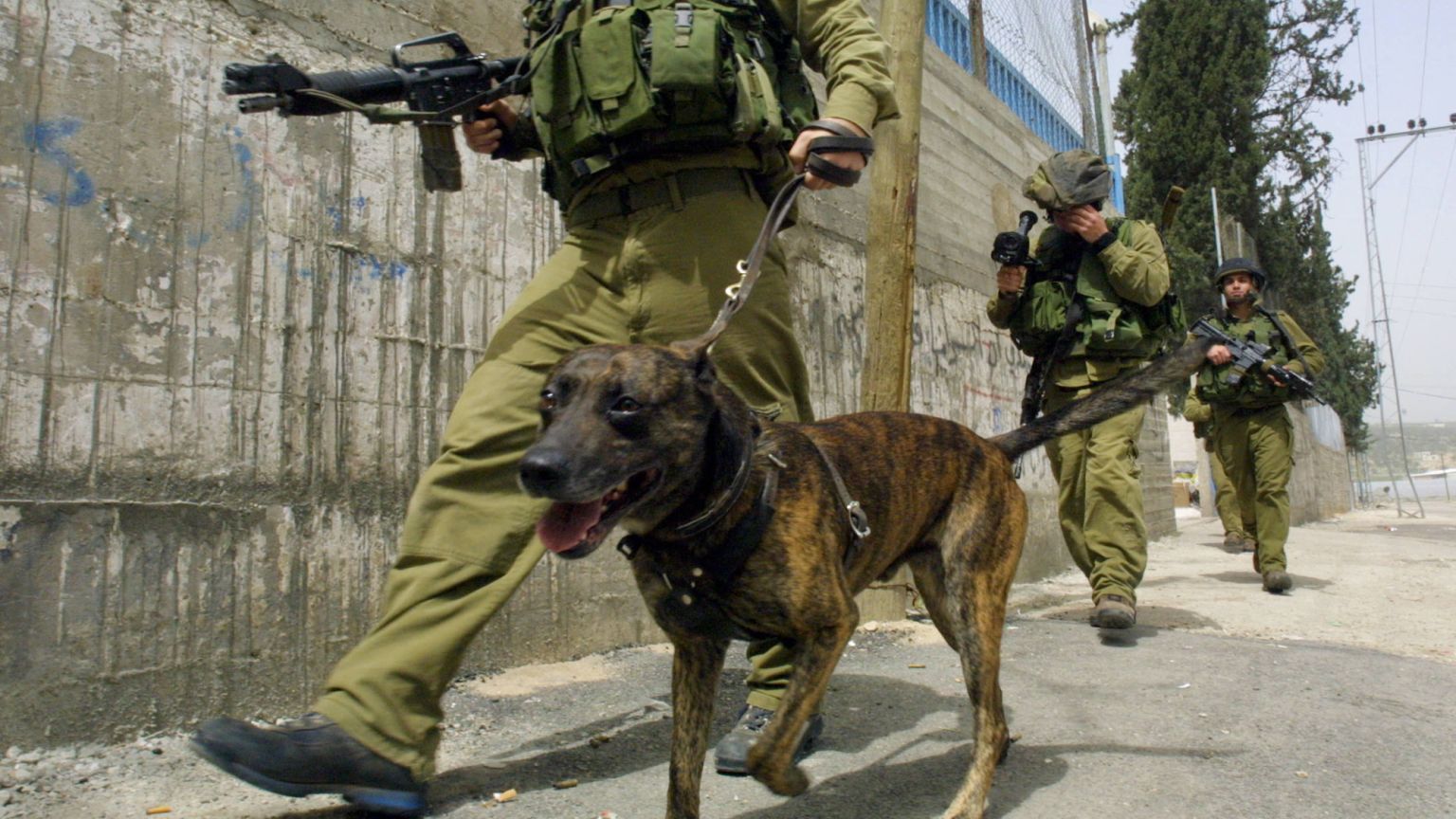 Why hasn’t the <em>New York Times</em> corrected its ‘dog rape’ lie?