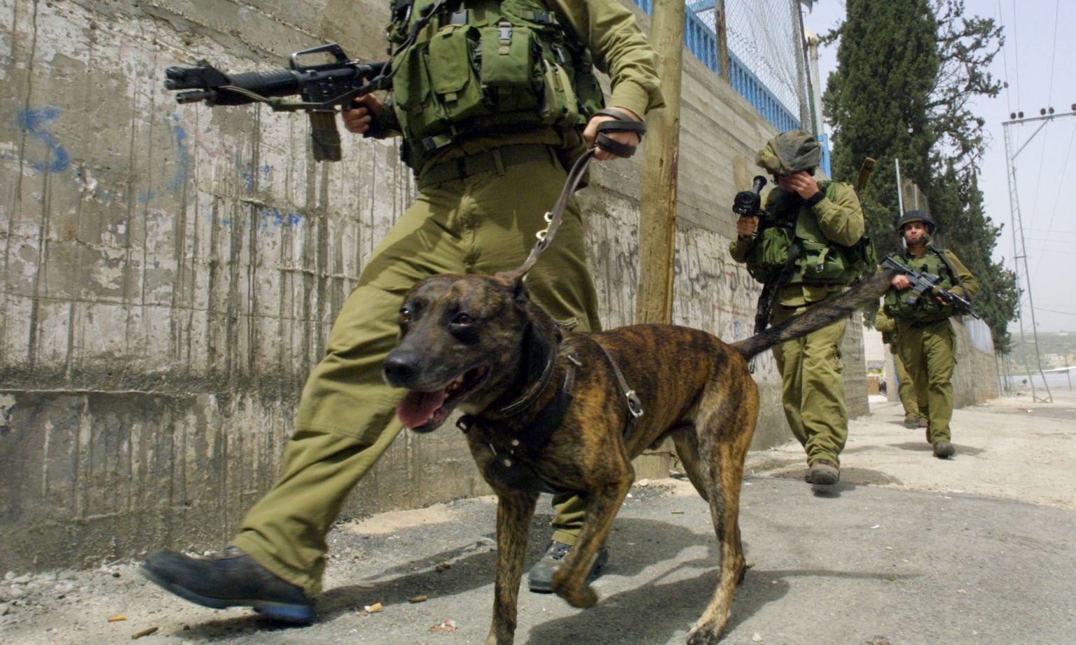 Israeli soldiers patrol with a sniffer dog in the West Bank town of Tulkarem, 2003