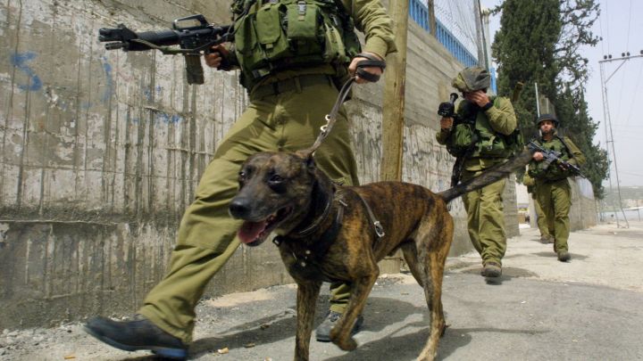 Why hasn’t the <em>New York Times</em> corrected its ‘dog rape’ lie?