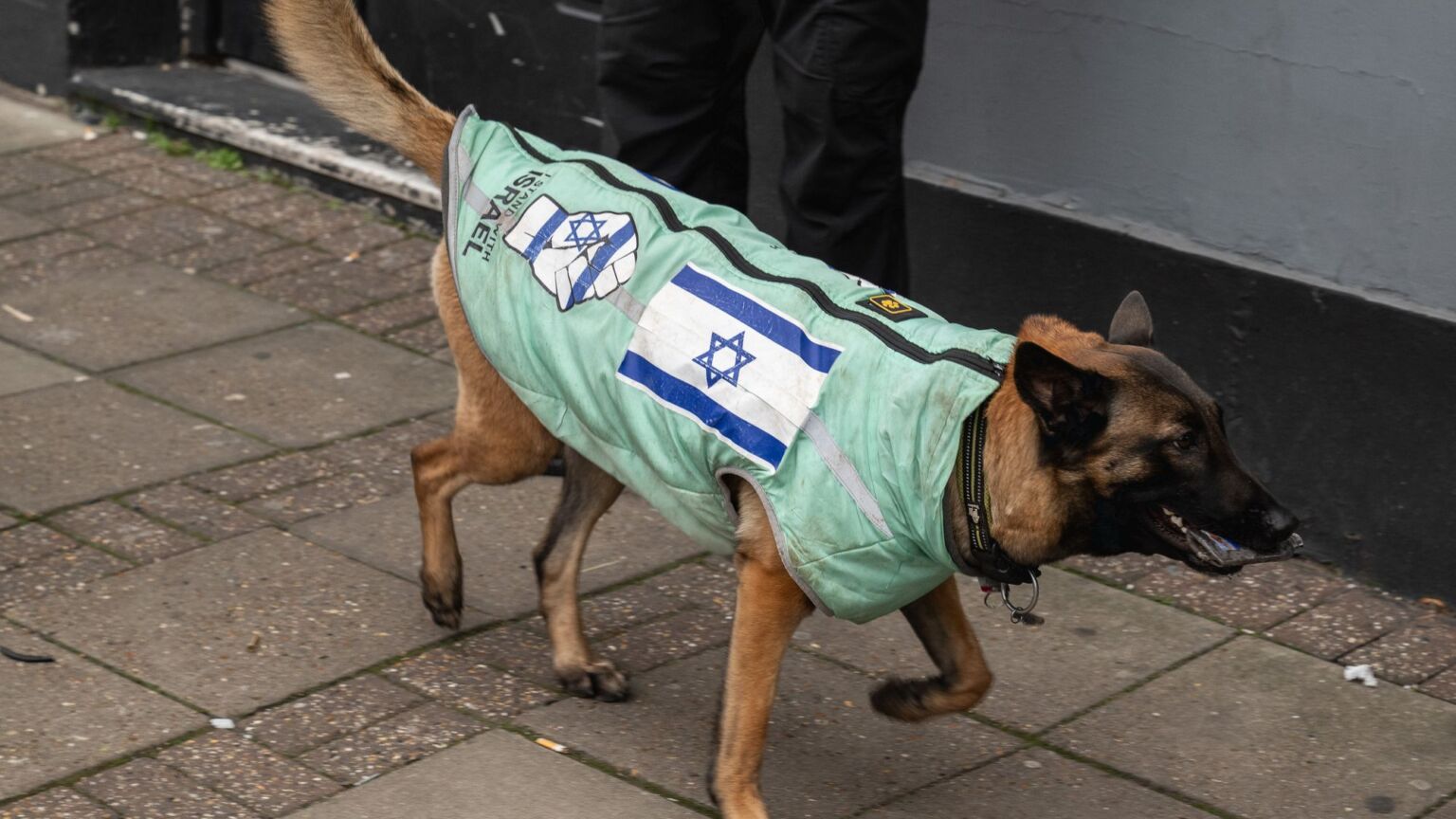 Israeli rape dogs? The <em>New York Times</em> is barking mad