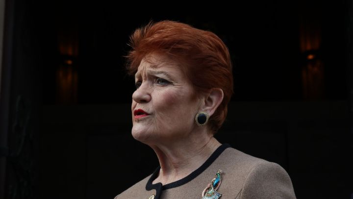 Why Pauline Hanson is surging