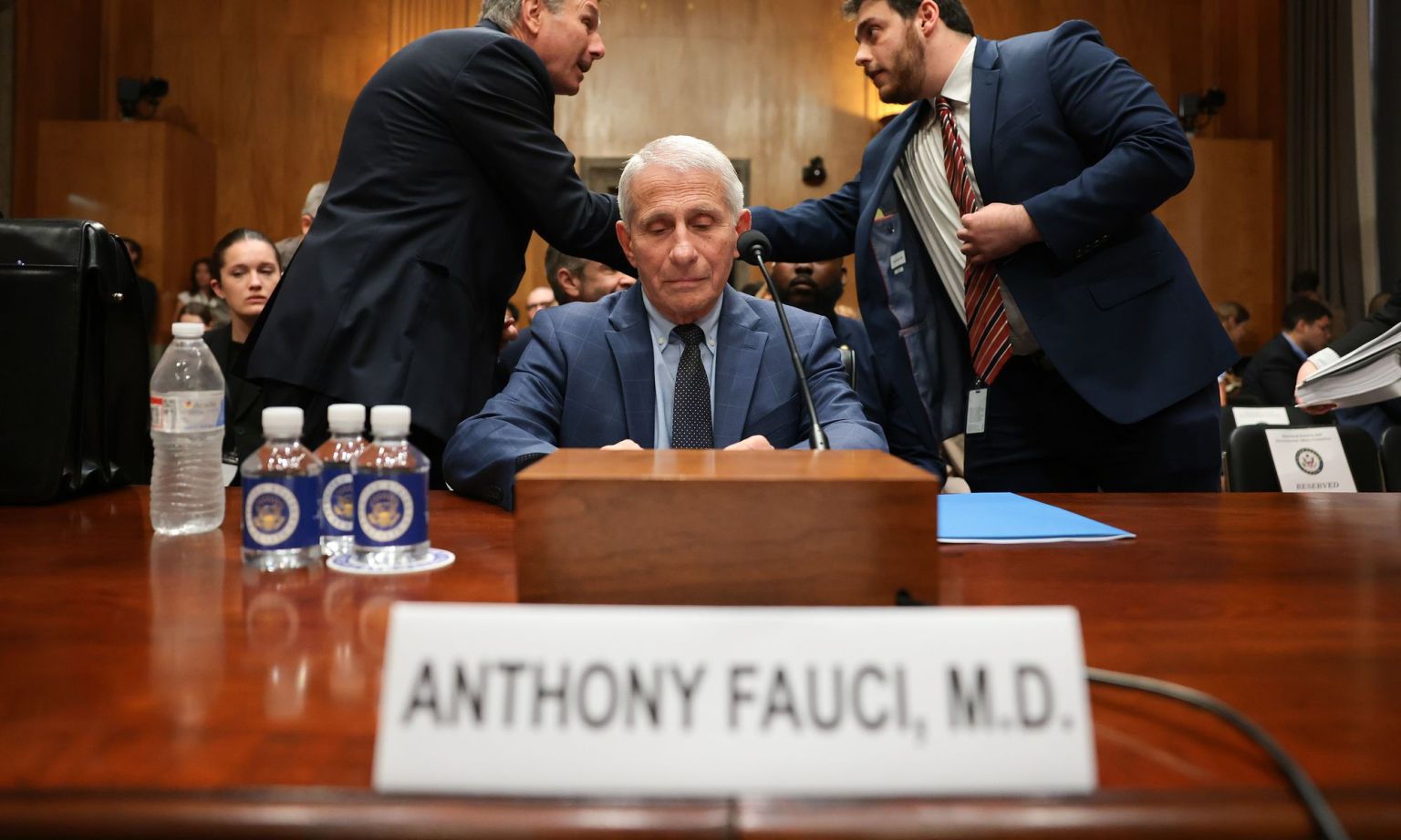 Fauci and the great Covid cover-up