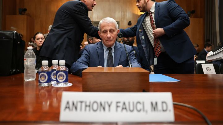 Fauci and the great Covid cover-up